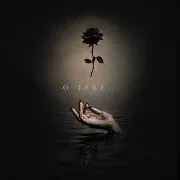 Из-За Тебя